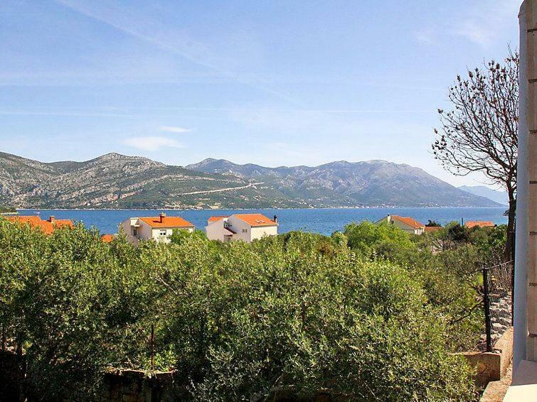 Apartmani Zute Račišće Εξωτερικό φωτογραφία